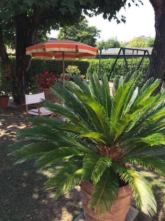 B&B Le Giare Λούκα Εξωτερικό φωτογραφία